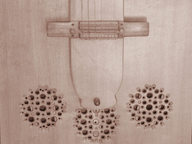 Bach: Cello Suite (BWV 1007)