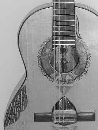 Double-course pedal guitar